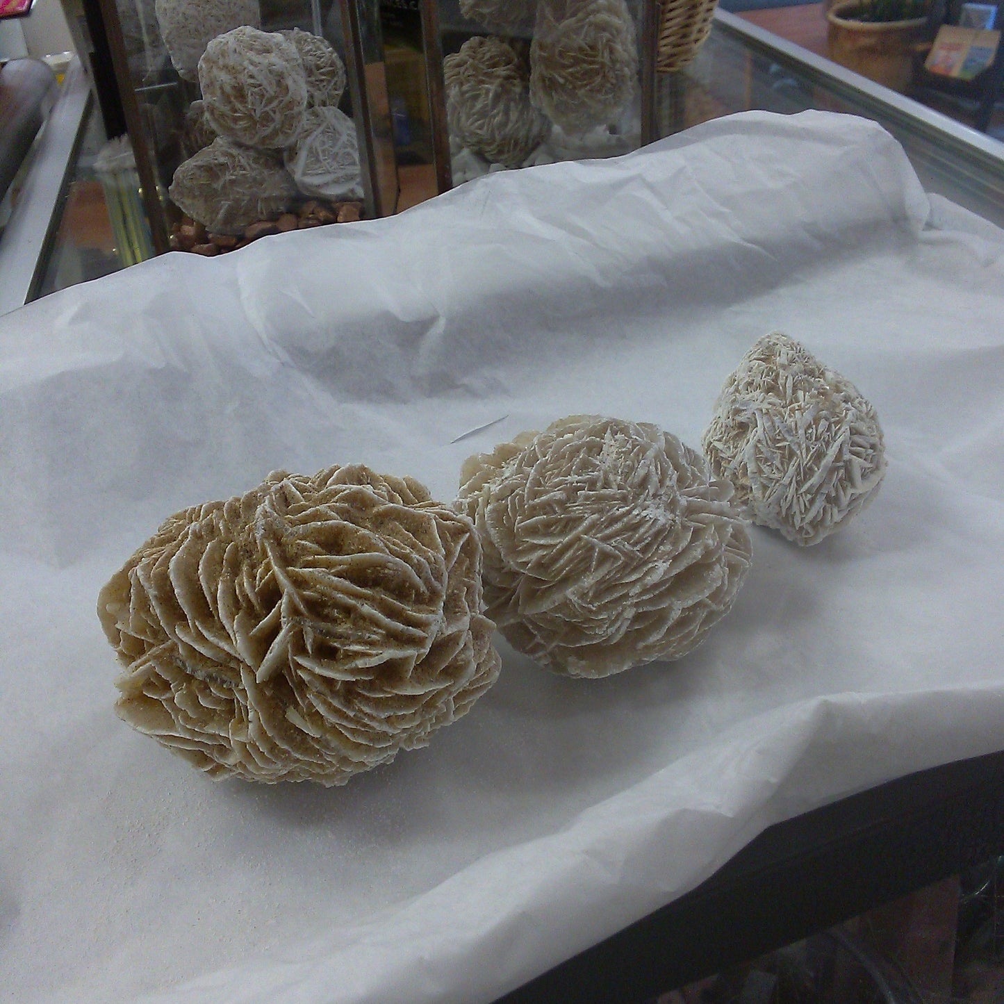 Desert Rose