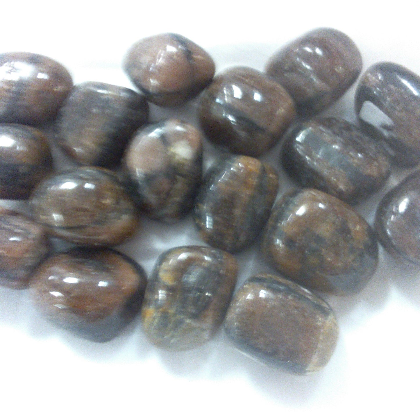 Chiastolite Tumbled