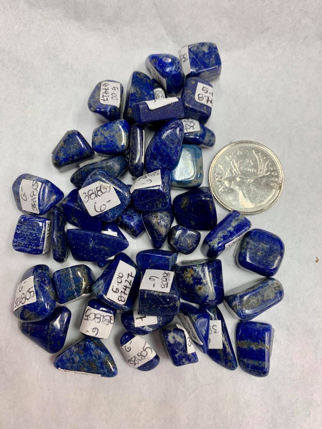 Lapis Lazuli small pieces