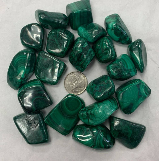 Malachite Tumbled (Large) Assorted