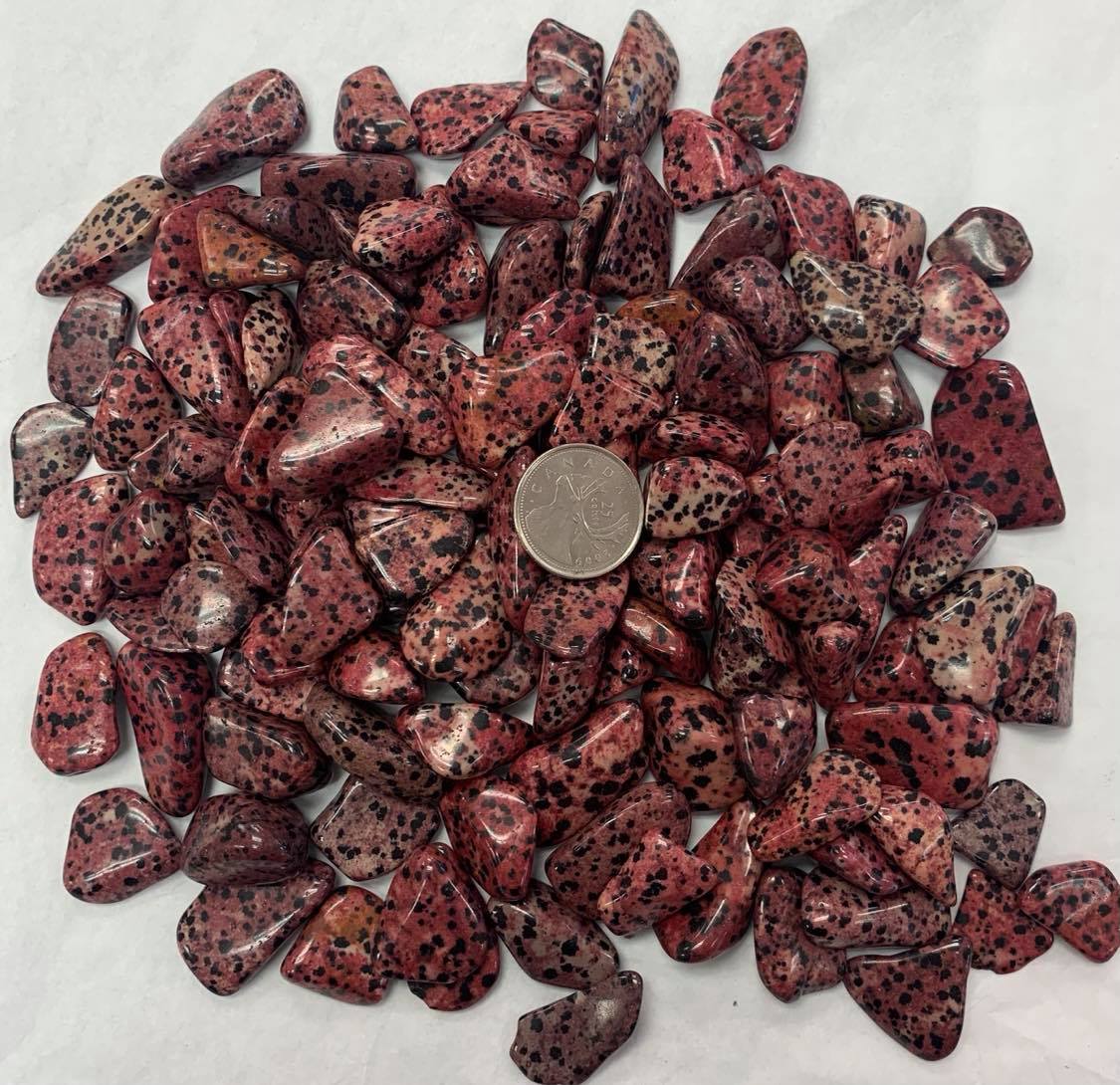 Red Dalmation Jasper (Dyed)