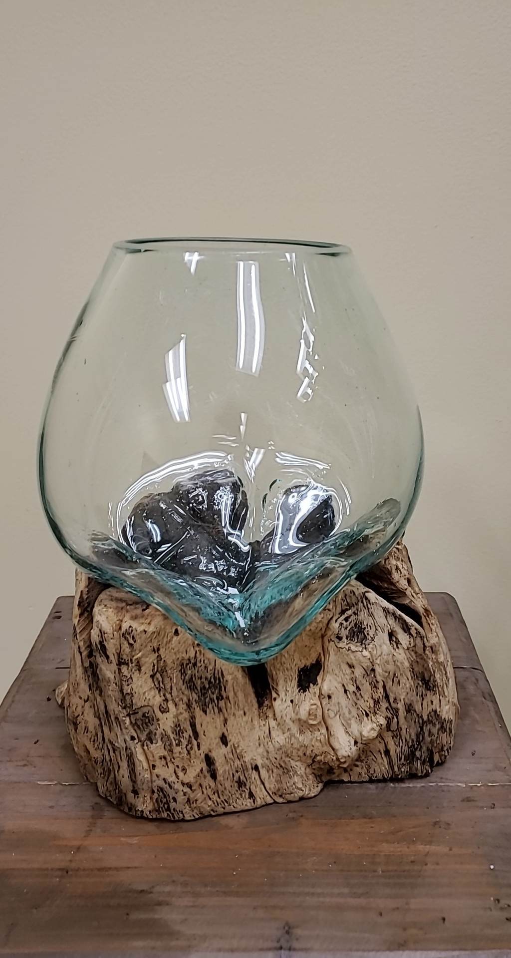 Rootglass Terrarium