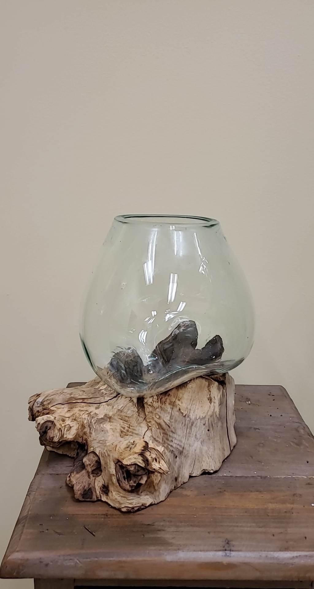 Rootglass Terrarium