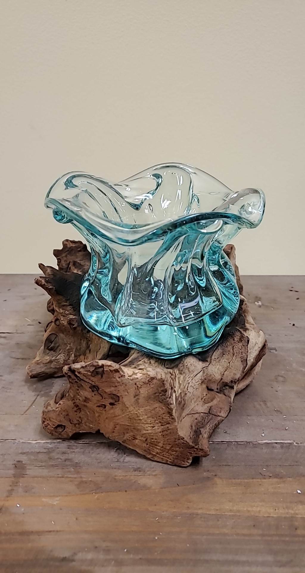 Rootglass Terrarium