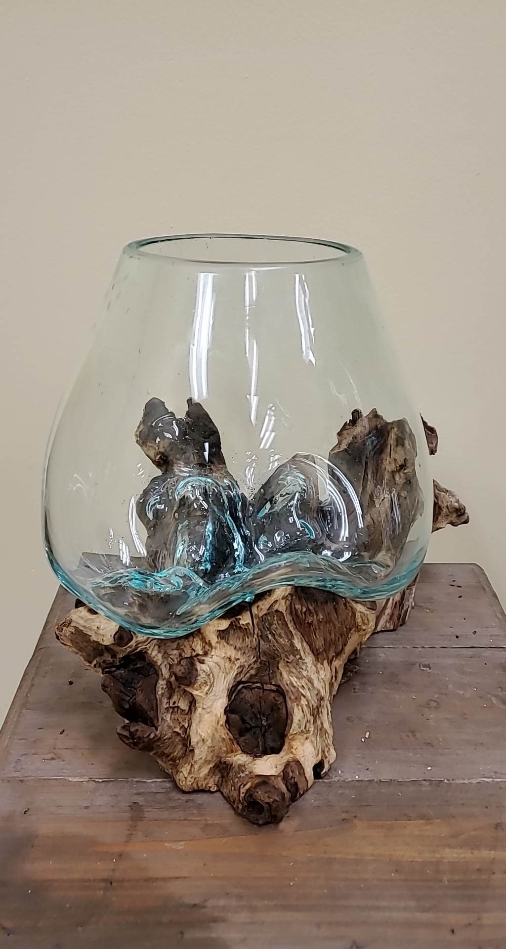 Rootglass Terrarium