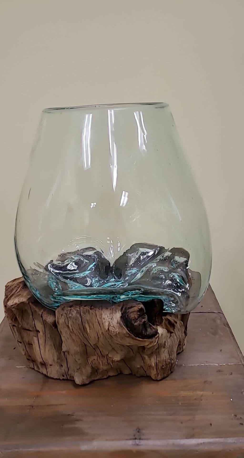 Rootglass Terrarium