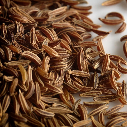 Caraway  Essential Oil