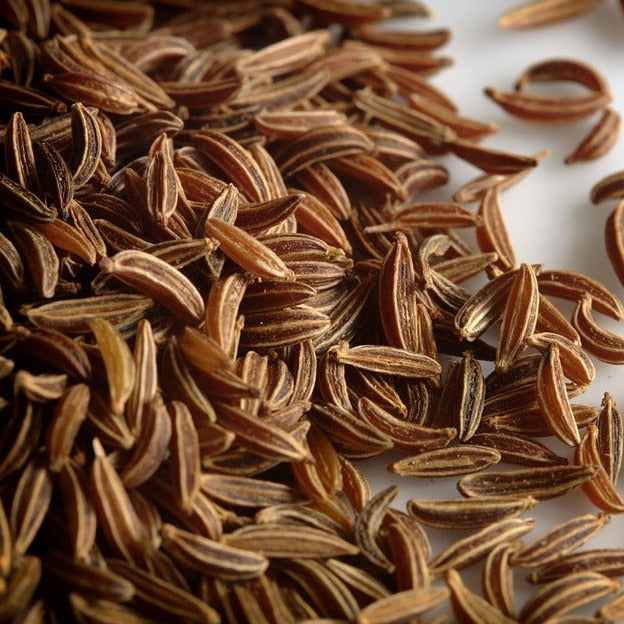 Caraway Essential Oil