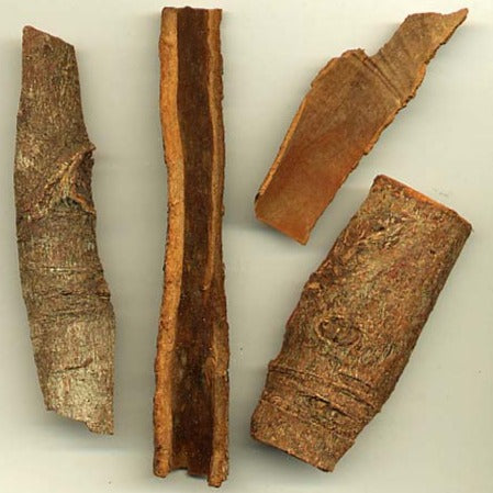 Cassia Essential Oil