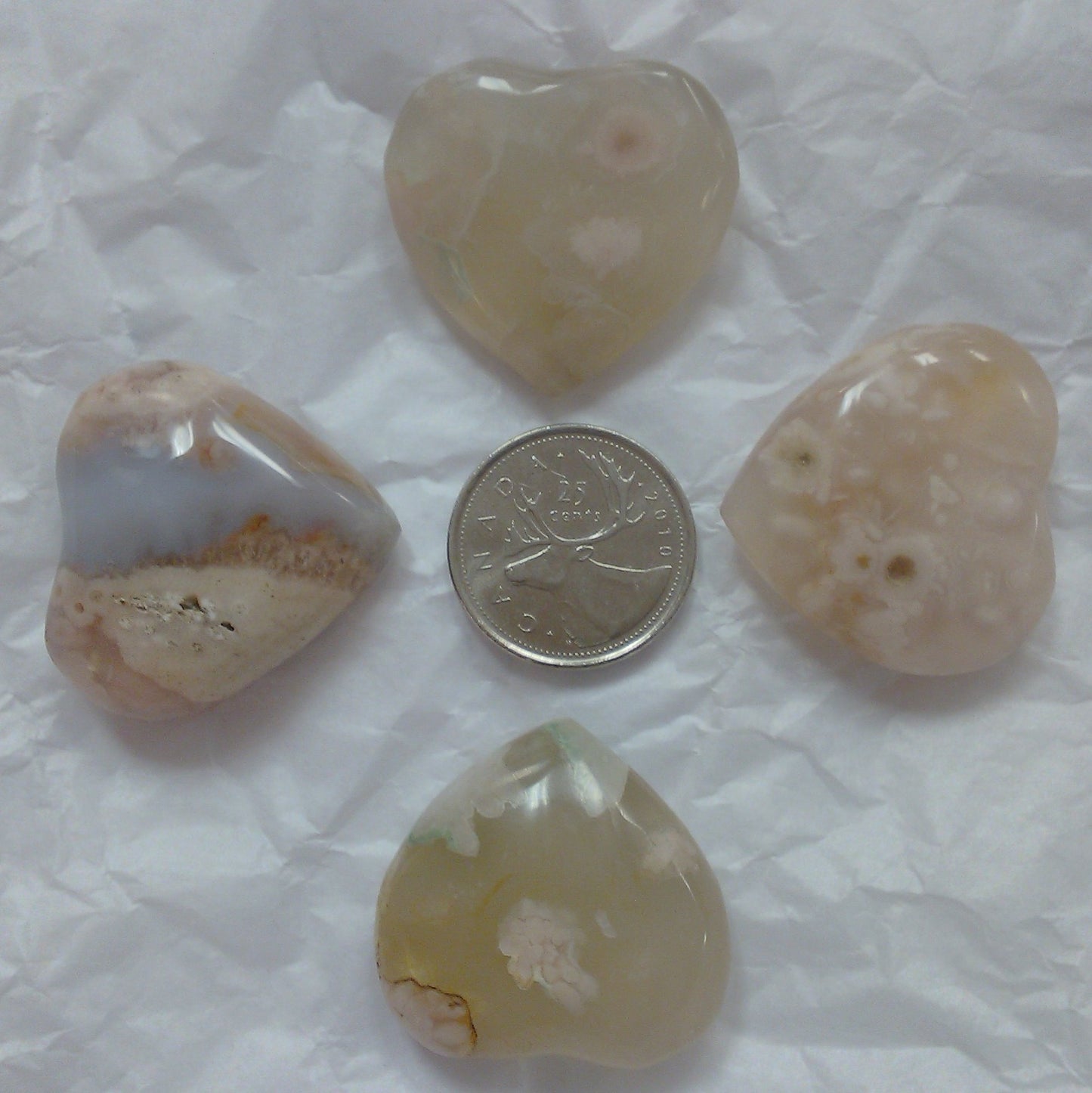 Heart Flower Agate Hearts