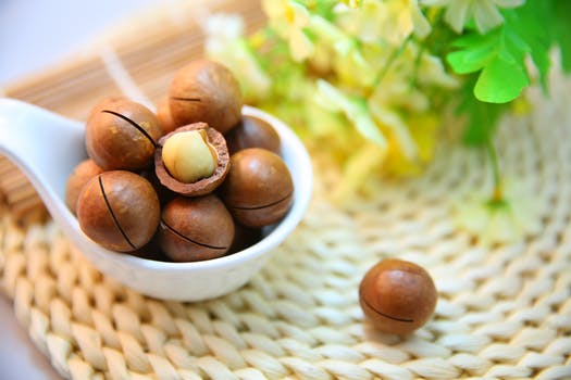 Macadamia Oil 120ml