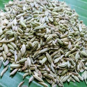 Aniseed Essential Oil