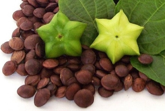 Sacha Inchi Oil 120ml