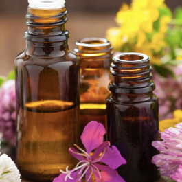 Blue Tansy (10% Dilution) Essential Oil