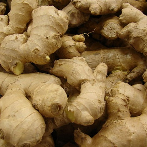 Ginger Essential Oil