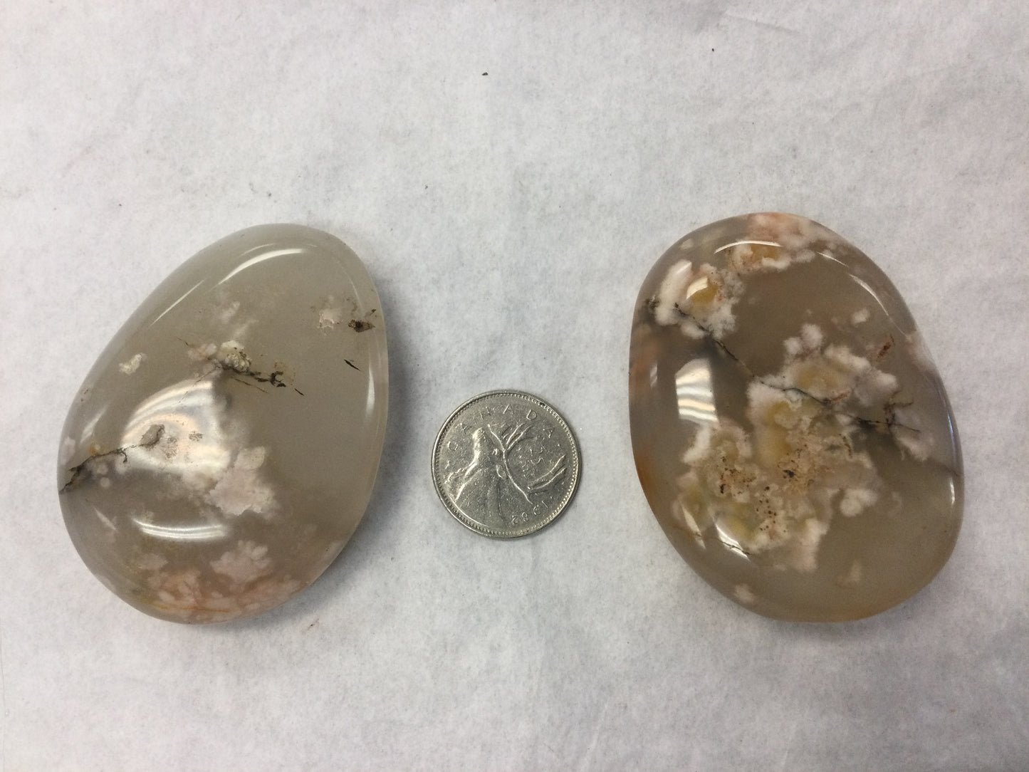 Flower Agate Palm Stones