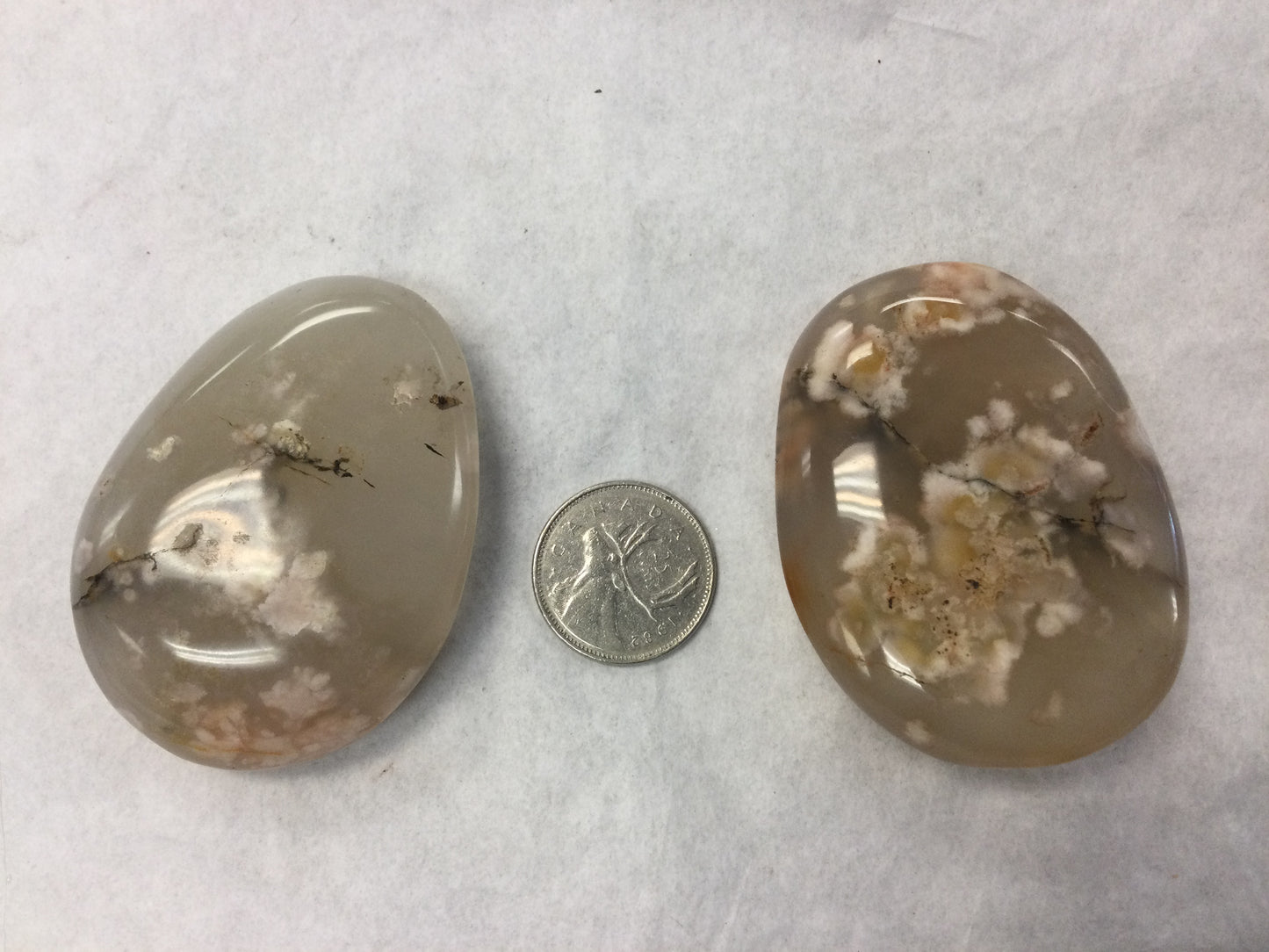 Flower Agate Palm Stones