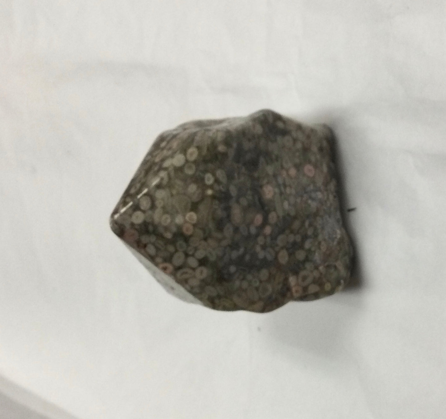 Large Leopard Skin Jasper Pieces