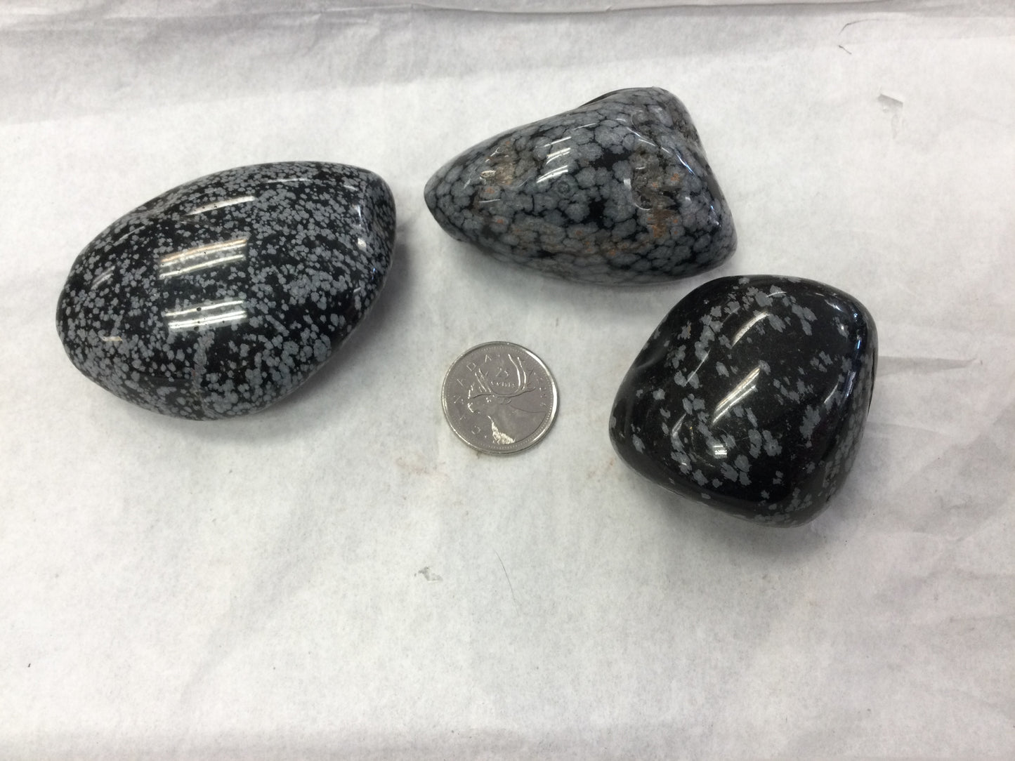 Snowflake obsidian tumbled, large