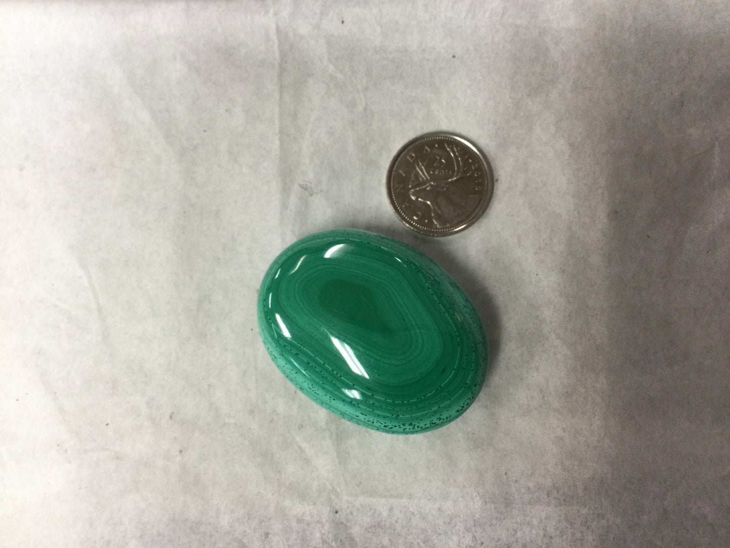 Malachite Palm Stone