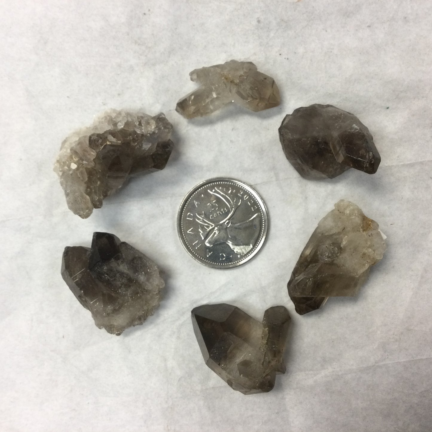 Rough Smoky Quartz Clusters