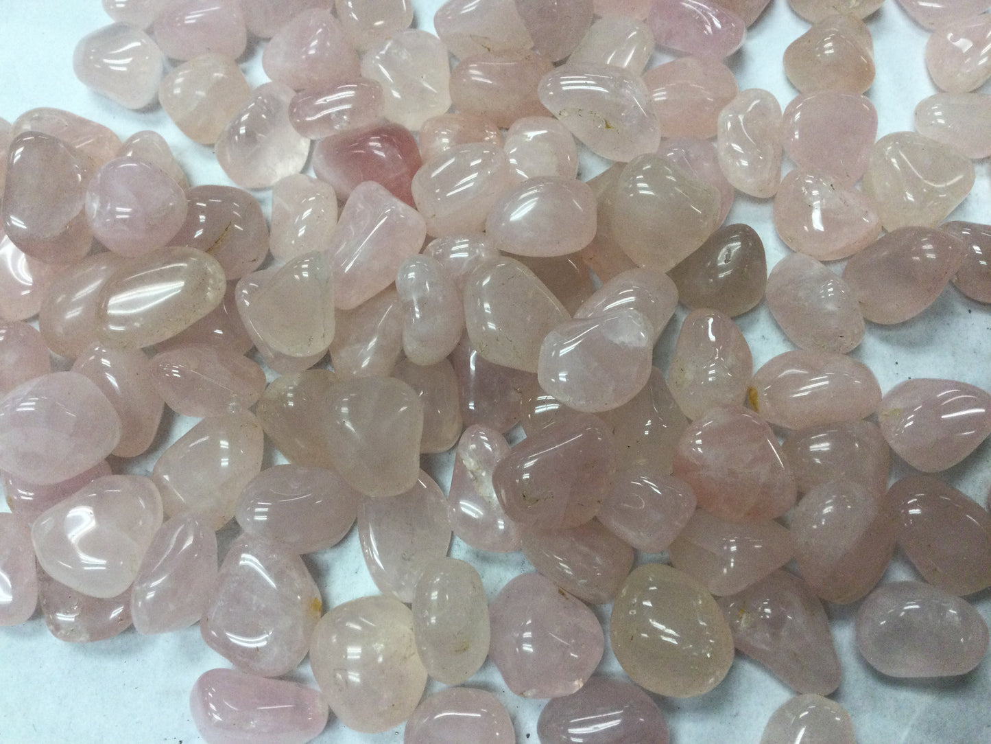 X-Small Tumbled Rose Quartz