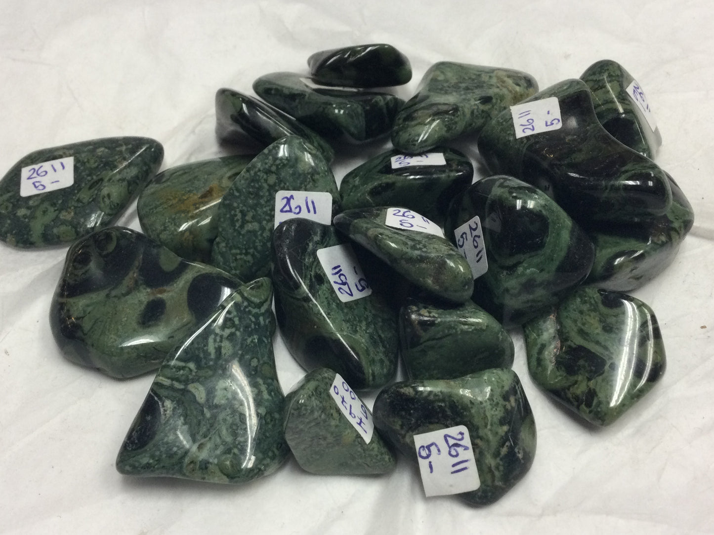 Crocodile Jasper (Kambaba)