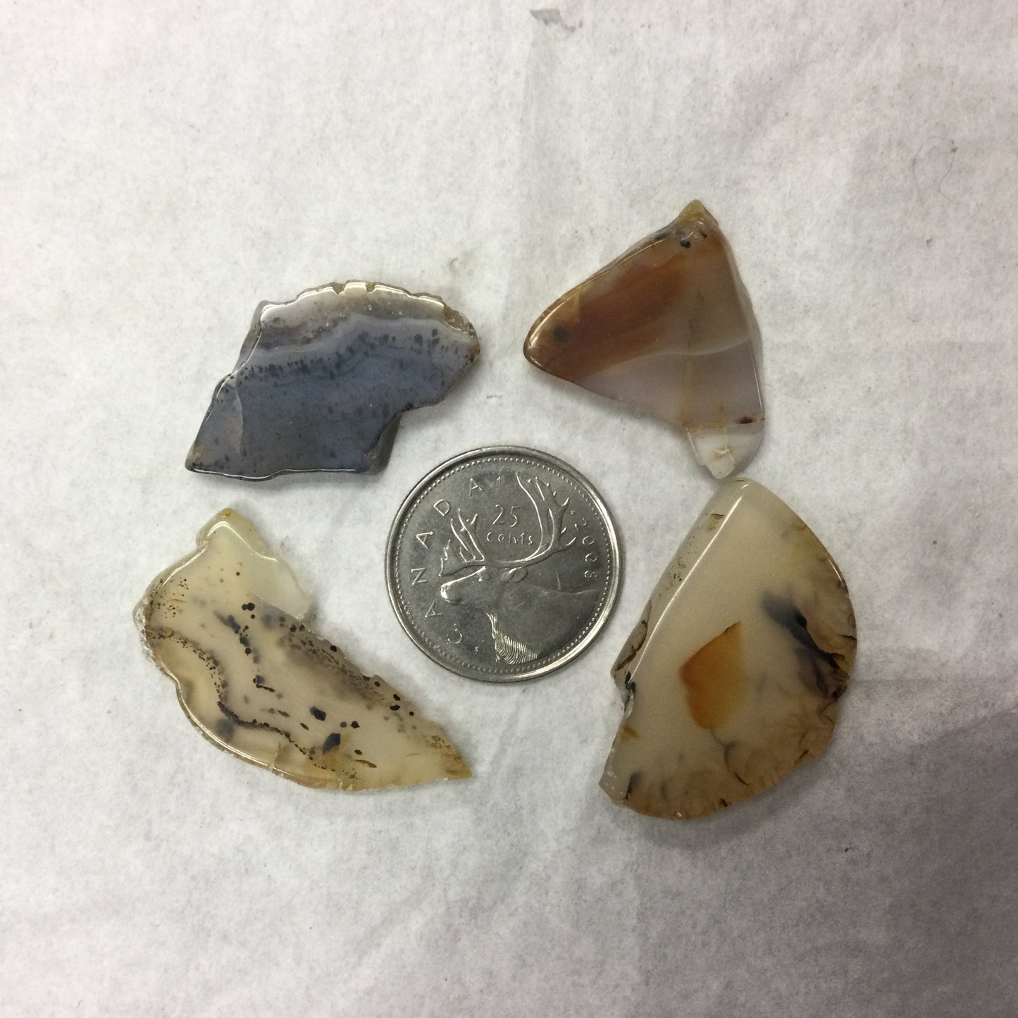Montana Agate