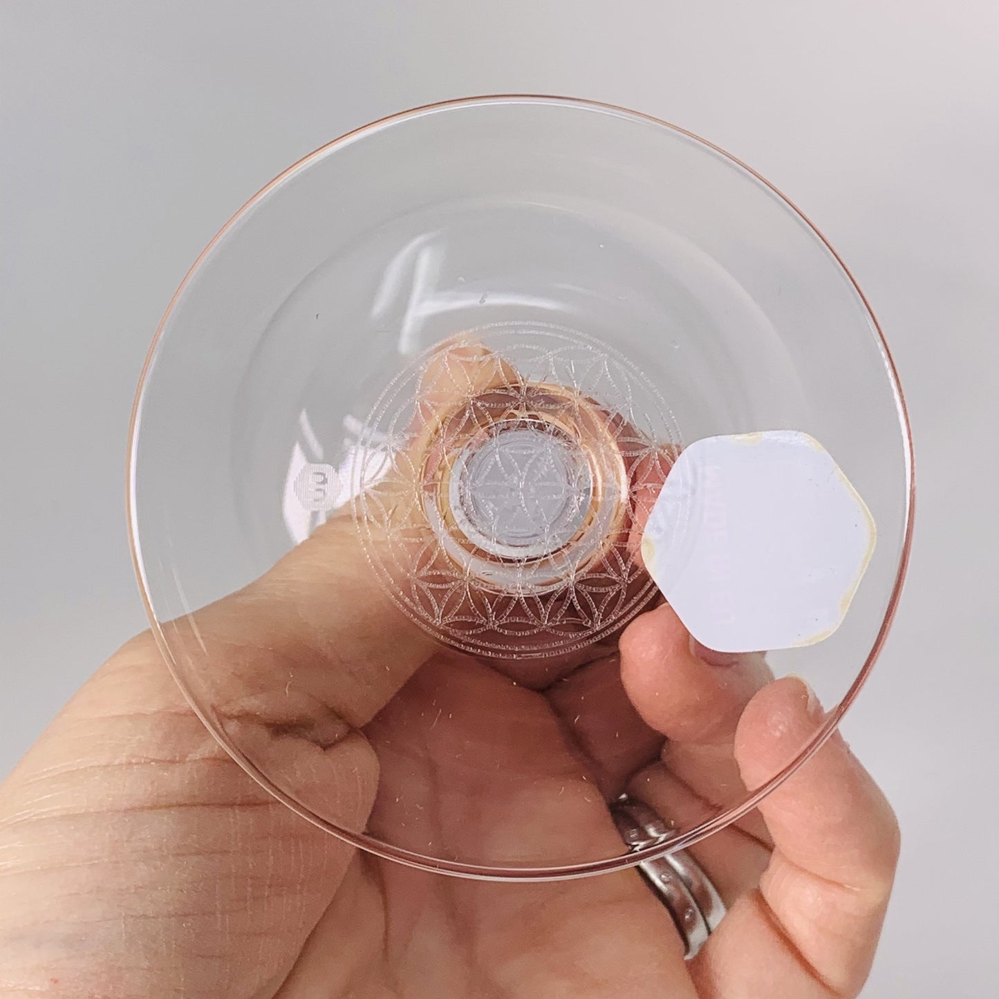 White Wine Glass, Nature's Design