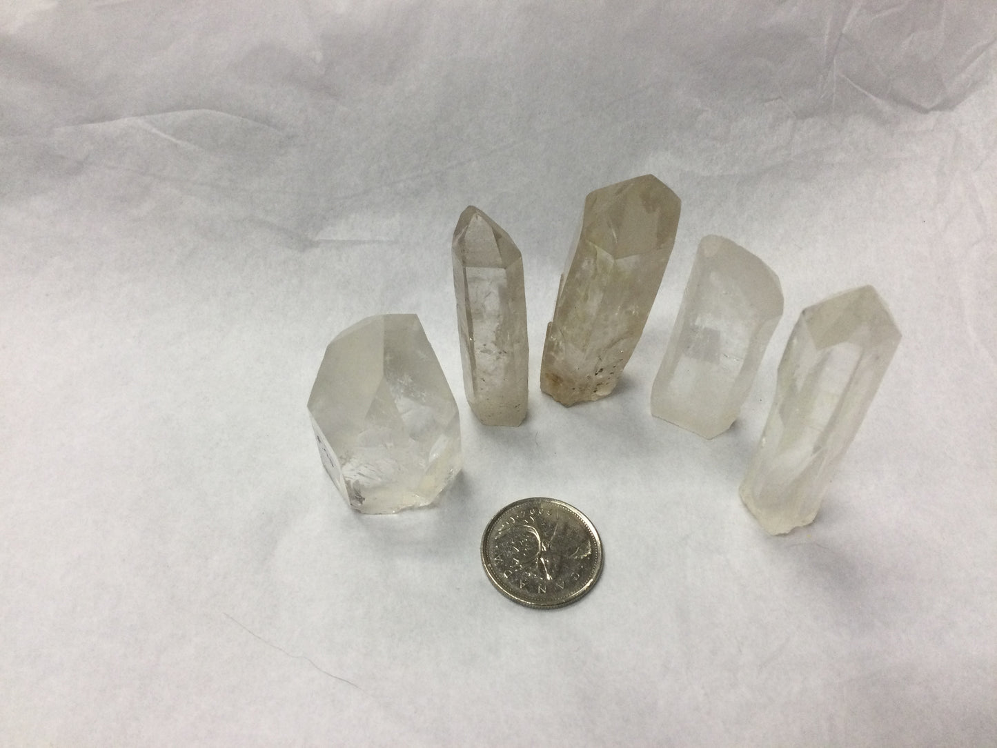 Lemurian seed standing points