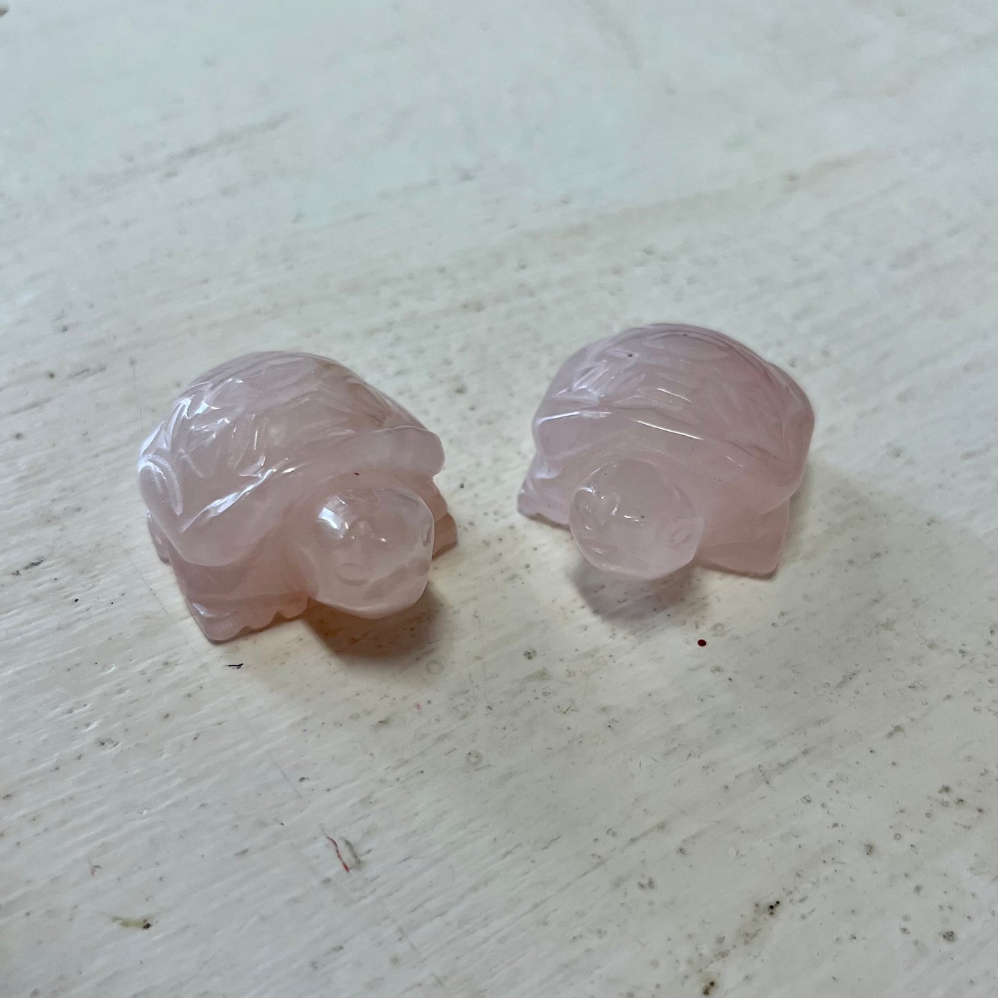 Carved Turtle