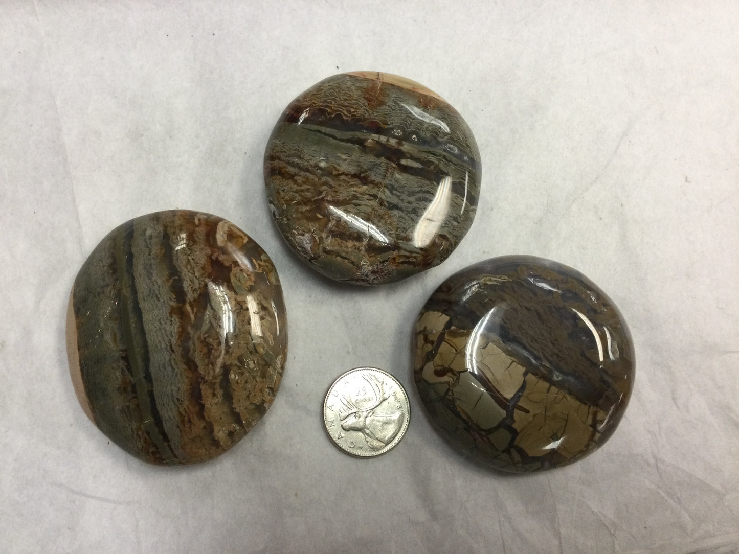 Round Ibis Jasper Palm Stone