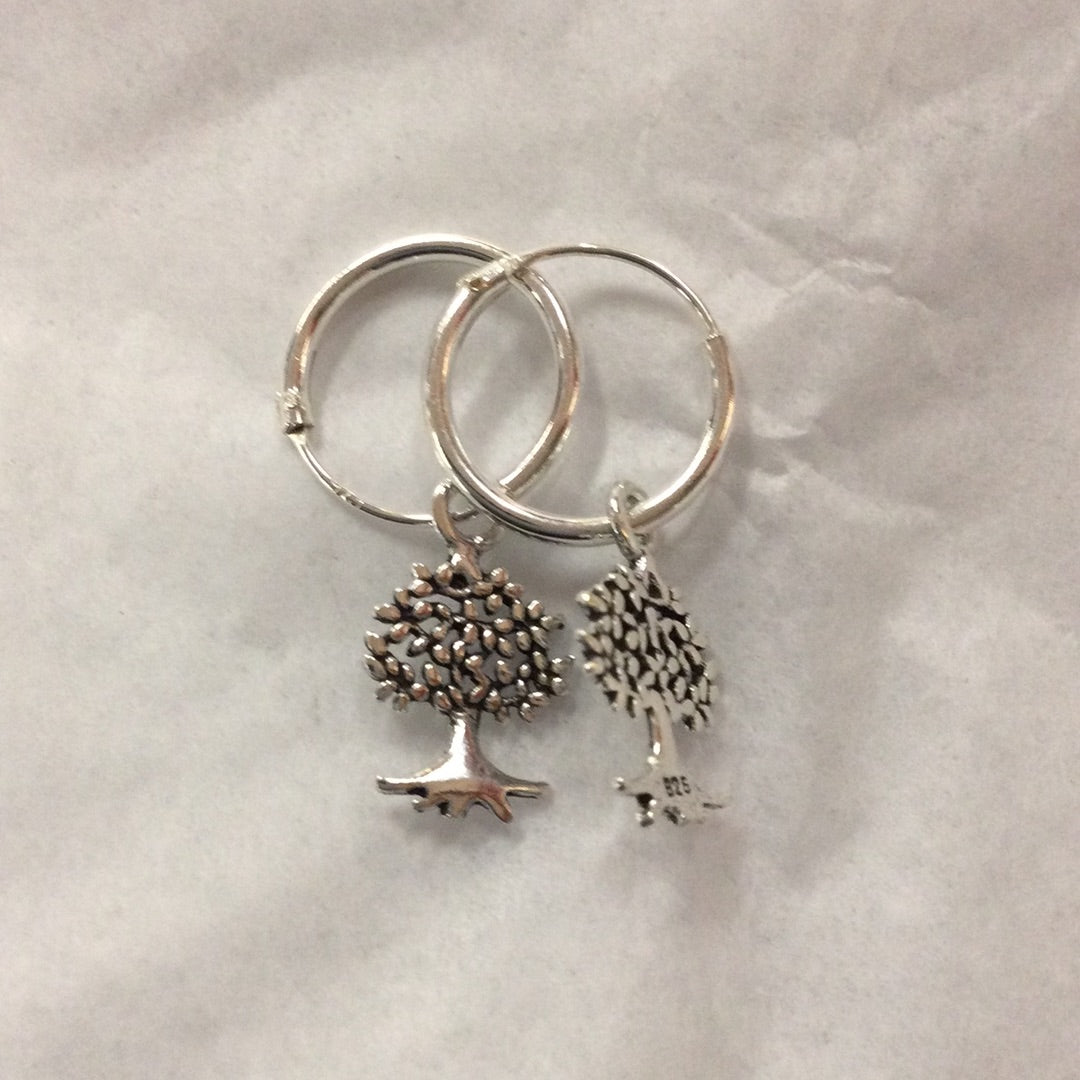 Small Silver Earrings