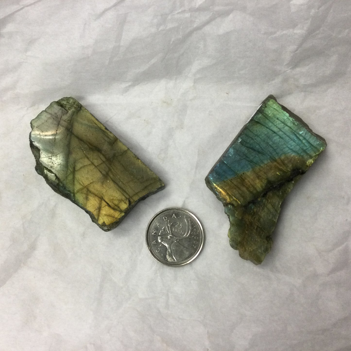 Semi-polished Labradorite Slabs