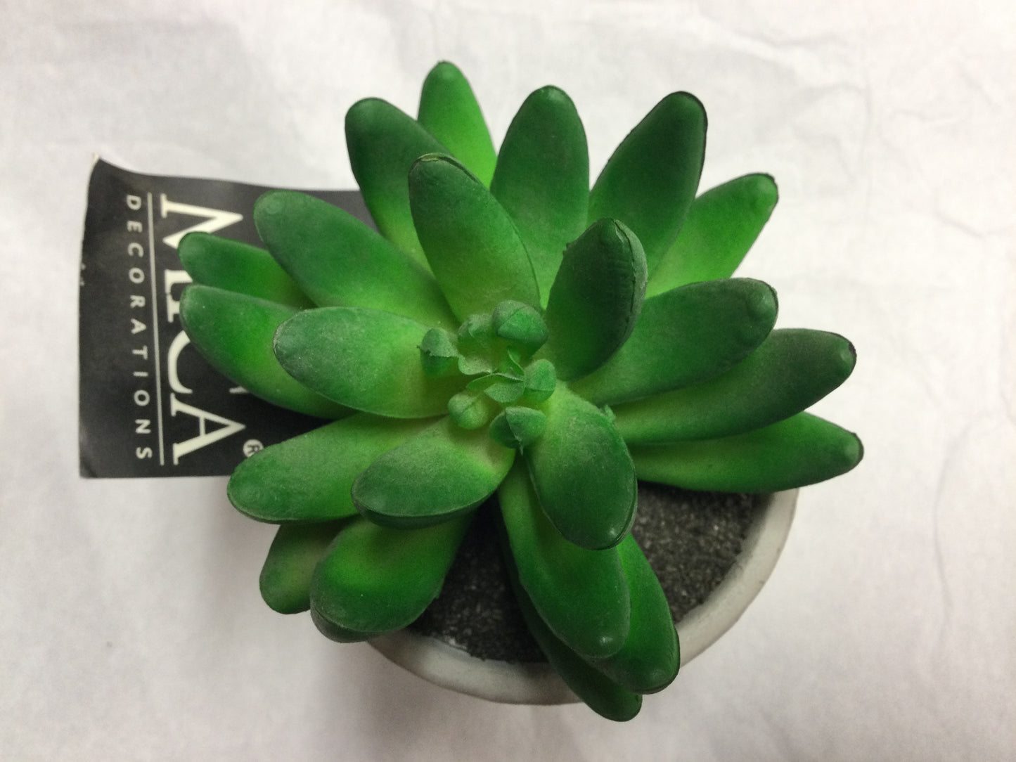 Artificial plant, sedum