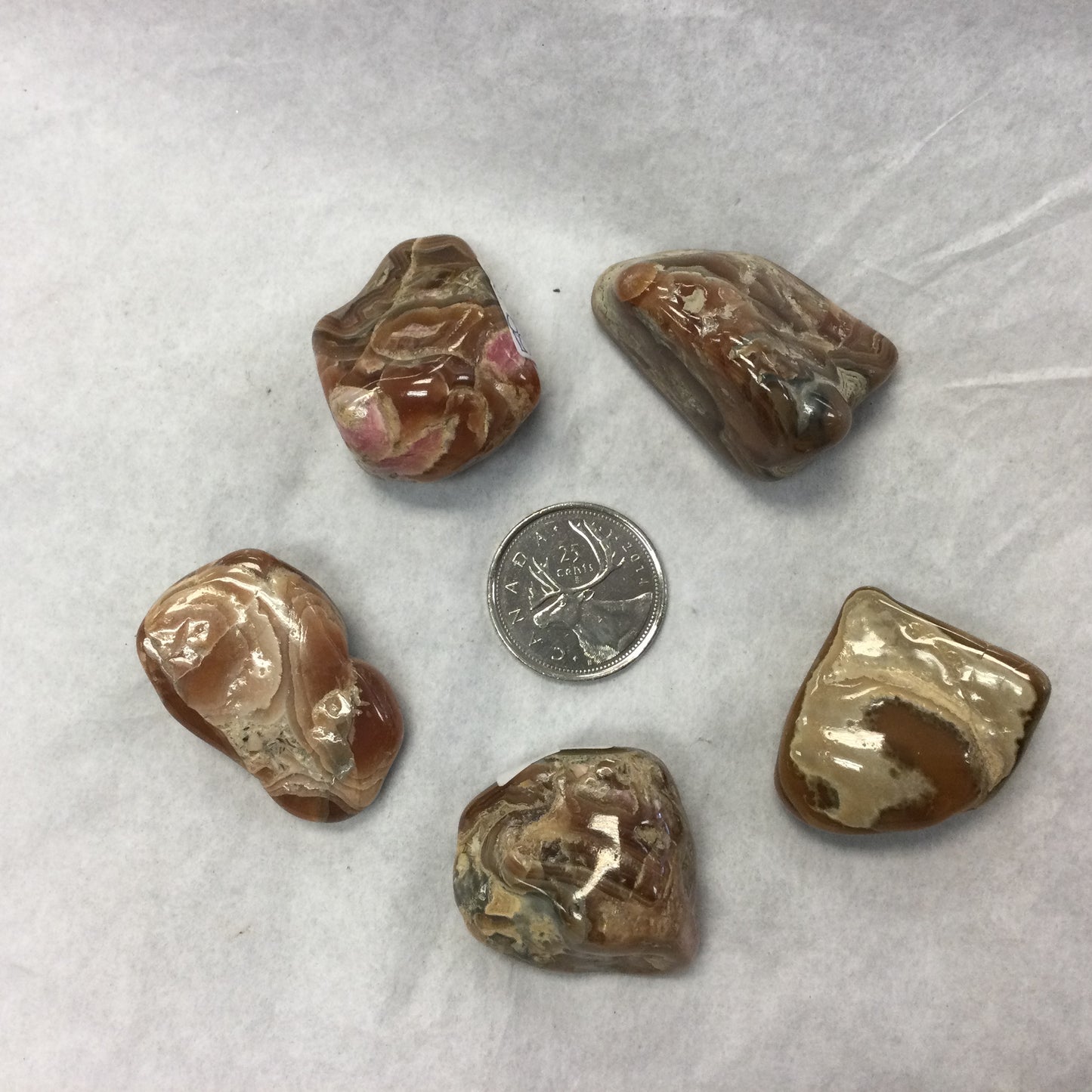 Tumbled Chocolate Rhodocrosite