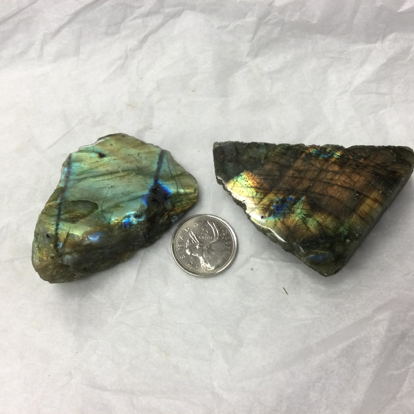 Semi-polished Labradorite Slabs