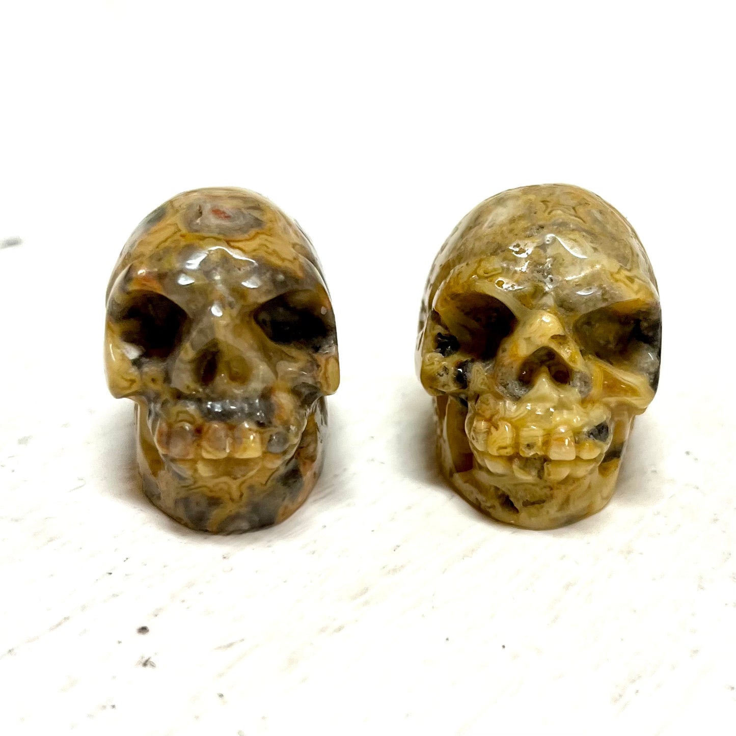Crazy Lace Agate Skulls