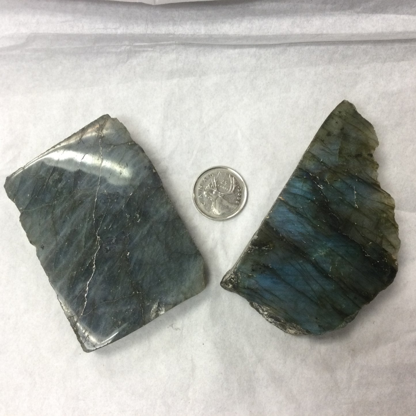 Semi-polished Labradorite Slabs