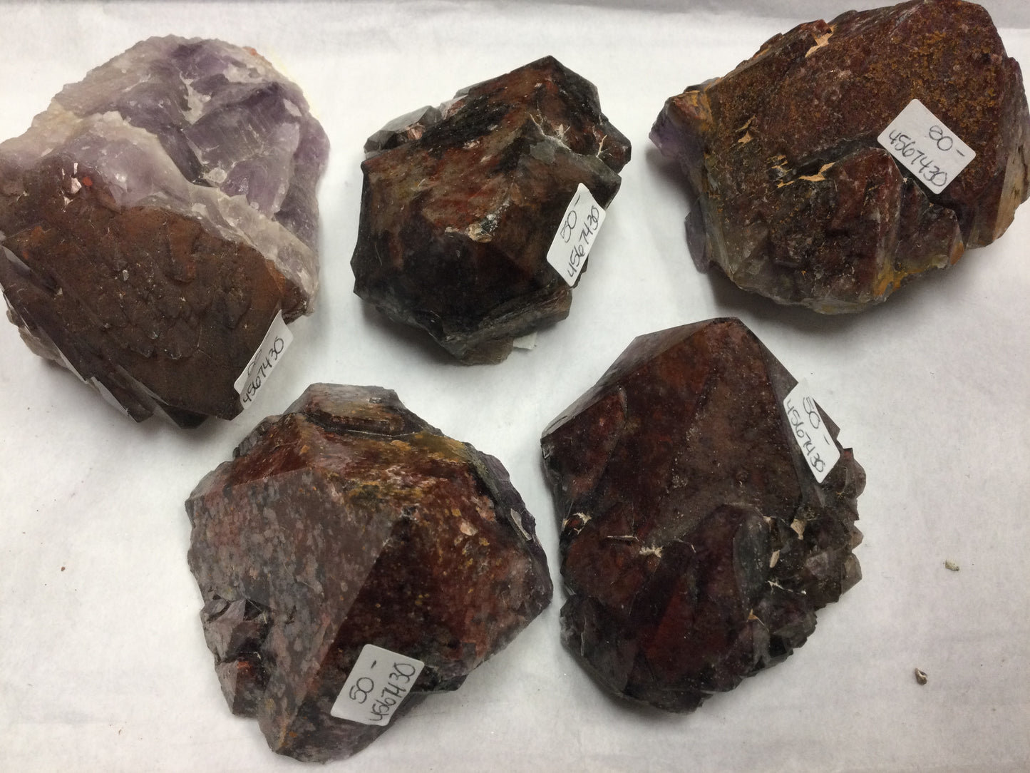Red-Topped Amethyst Points