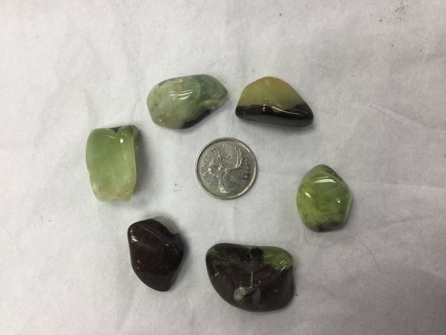 tumbled prenite, lg