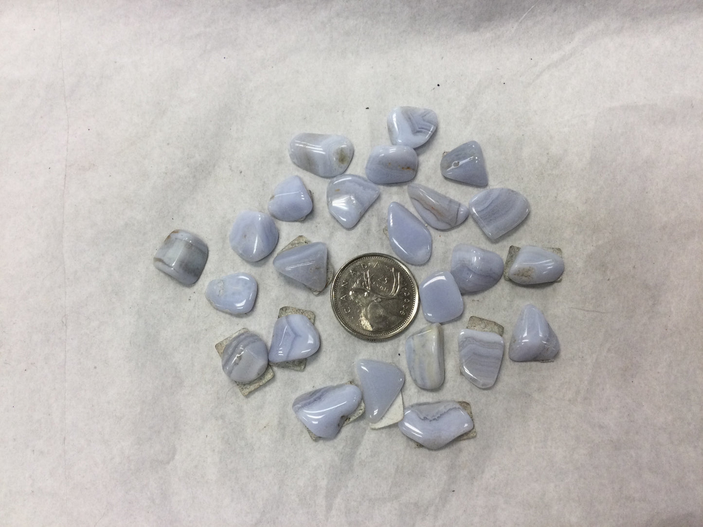 Blue Lace Agate Tumbled