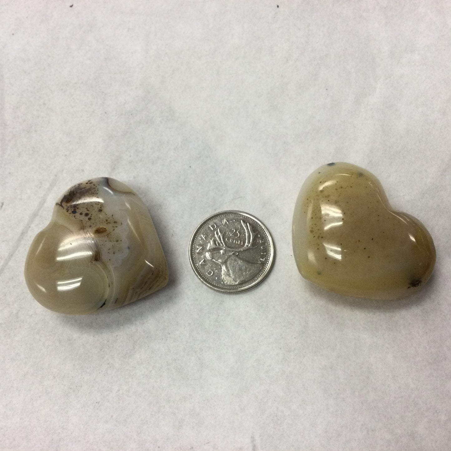 Dendritic Agate Hearts (Madagascar)