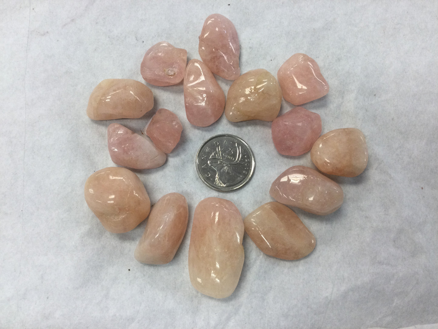 Tumbled Morganite