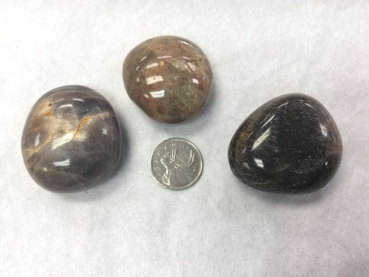 Black Moonstone Palm Stone