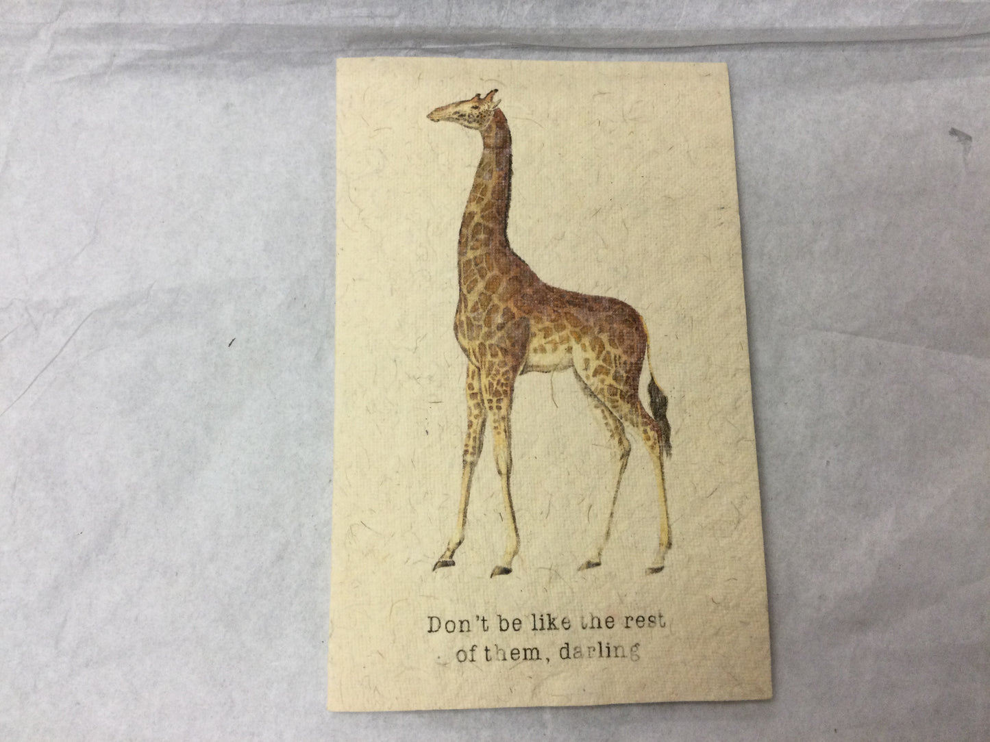 Card - Dont be like the rest of them, darling