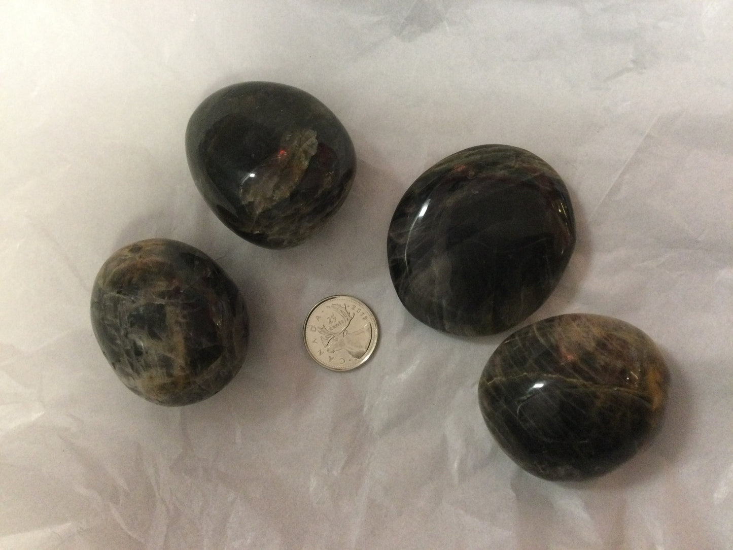 Black Moonstone Palm Stone