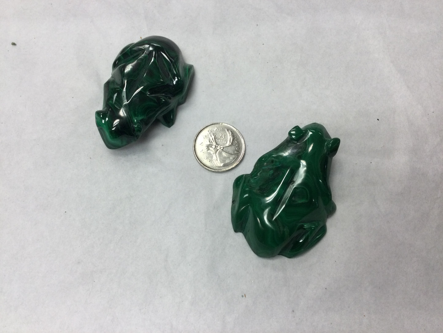 Malachite Frog