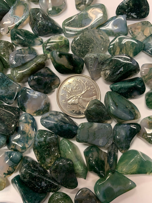 Moss Agate Tumbled