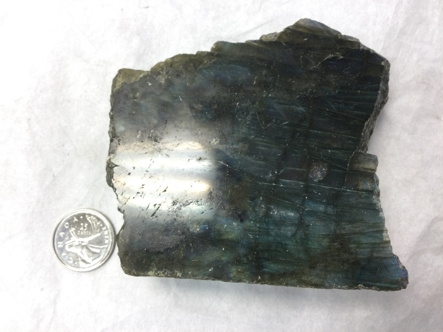 Semi-polished Labradorite Slabs